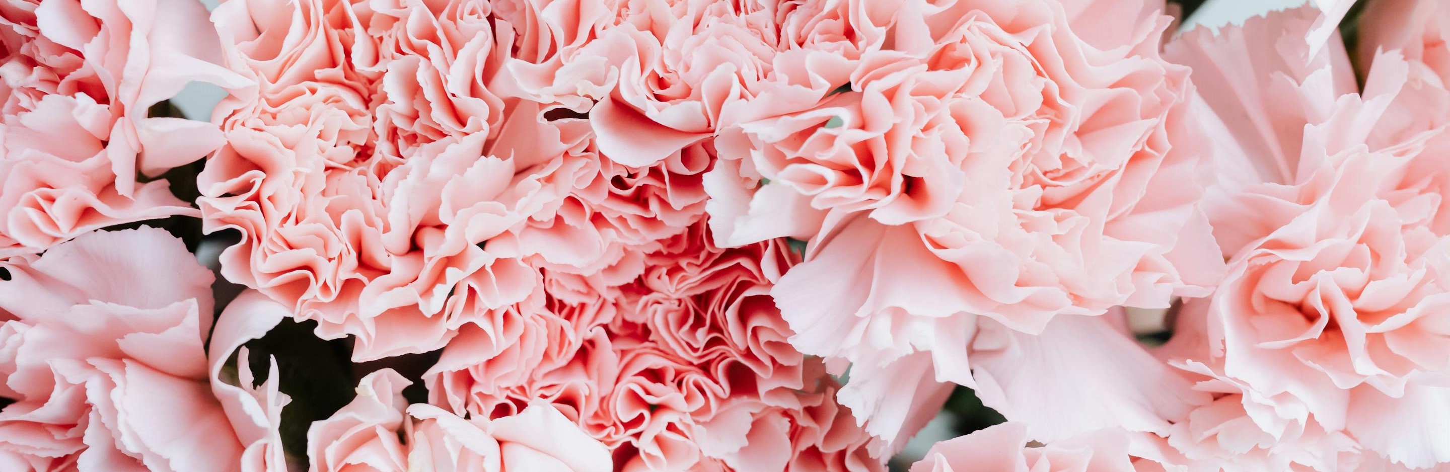 flower border image